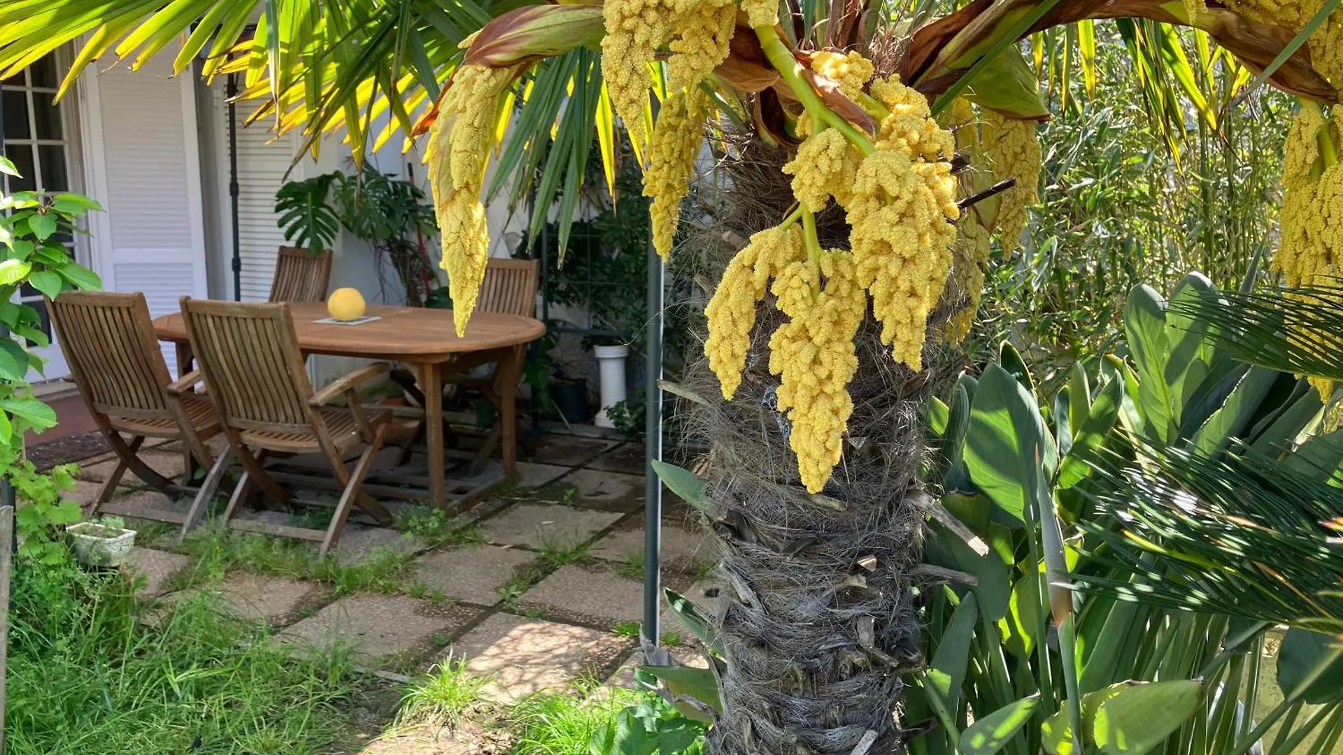 Apartamento Le Bodole Viareggio